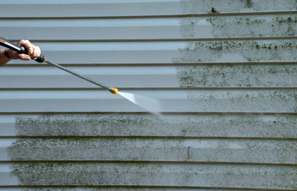 Professional Pressure Washing in Loma Rica, CA